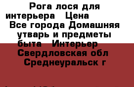 Рога лося для интерьера › Цена ­ 3 300 - Все города Домашняя утварь и предметы быта » Интерьер   . Свердловская обл.,Среднеуральск г.